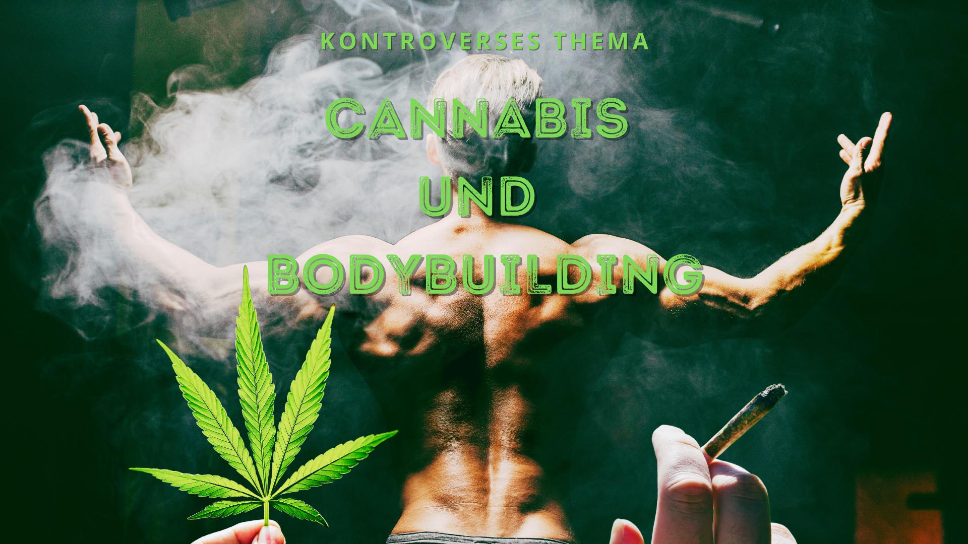 Cannabis-und-Bodybuilding